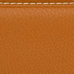 BAM L'ETOILE Hightech Oblong Violin Case with Back Pocket