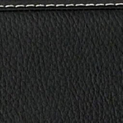 BAM L'ETOILE Hightech Oblong Viola Case with Back Pocket