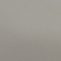 BAM L'ETOILE Hightech Oblong Viola Case with Back Pocket