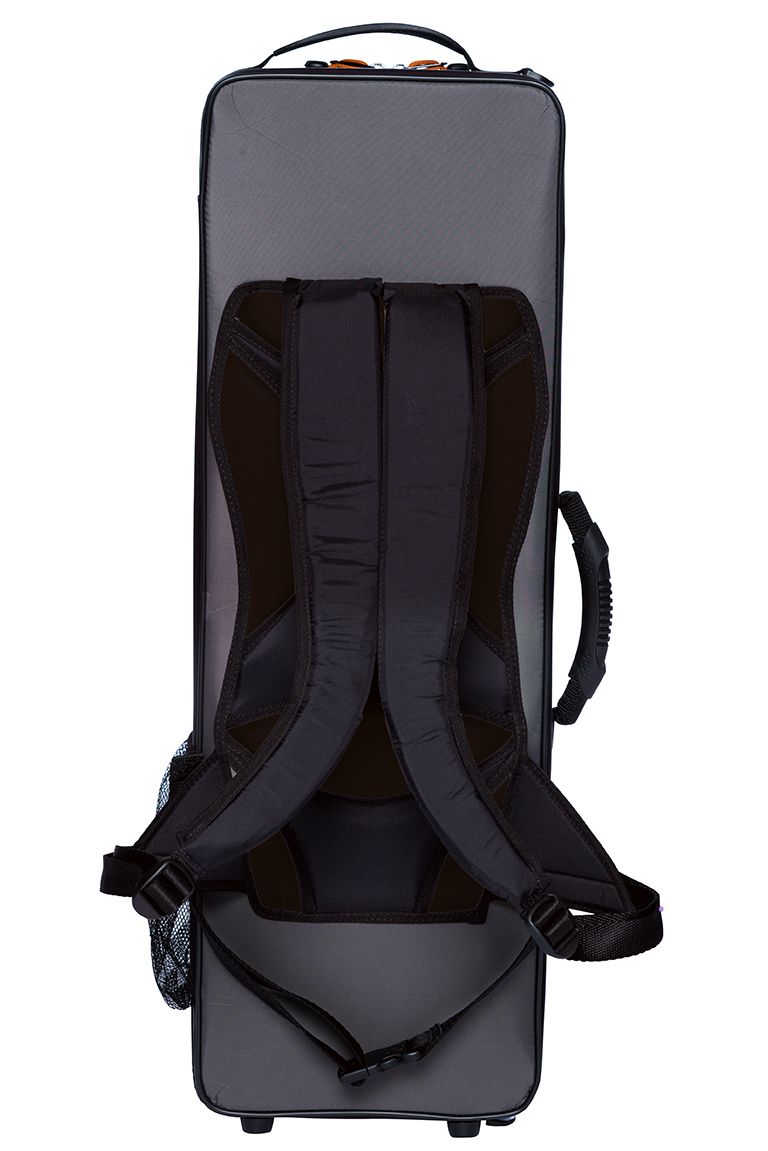 BAM PEAK PERFORMANCE Violin Case