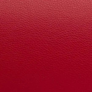 BAM L'ETOILE Back Cushion w/ pocket for Hightech Violin & Viola Oblong Cases