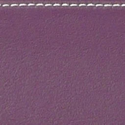 BAM L'ETOILE Hightech Oblong Viola Case with Back Pocket