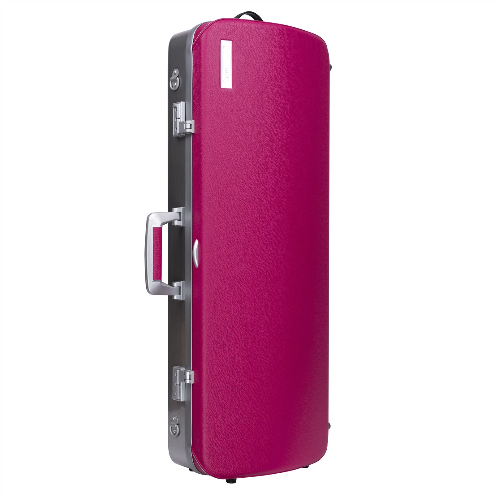 BAM L'ETOILE Hightech Oblong Viola Case