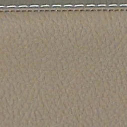 BAM L'ETOILE Hightech Oblong Viola Case with Back Pocket