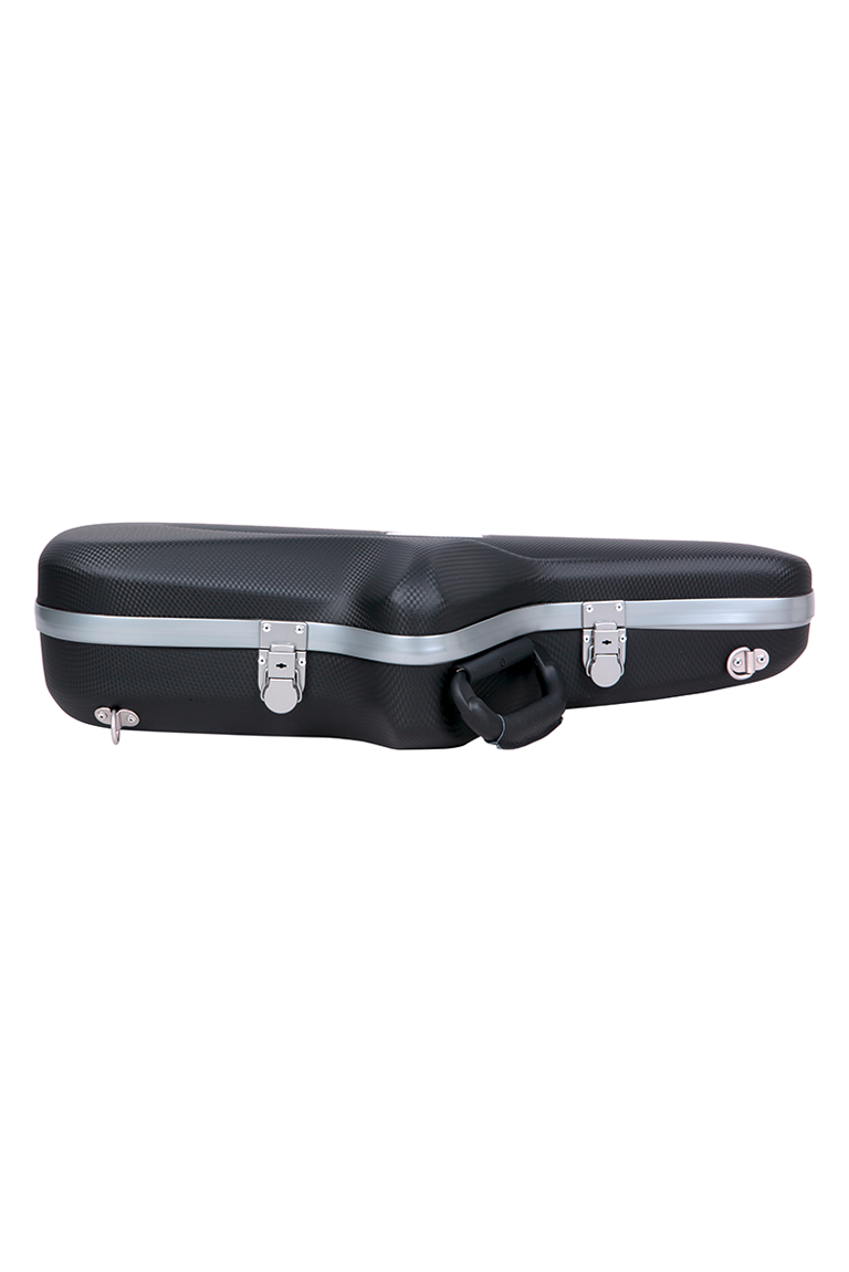 BAM PANTHER Cabine Alto Sax Case