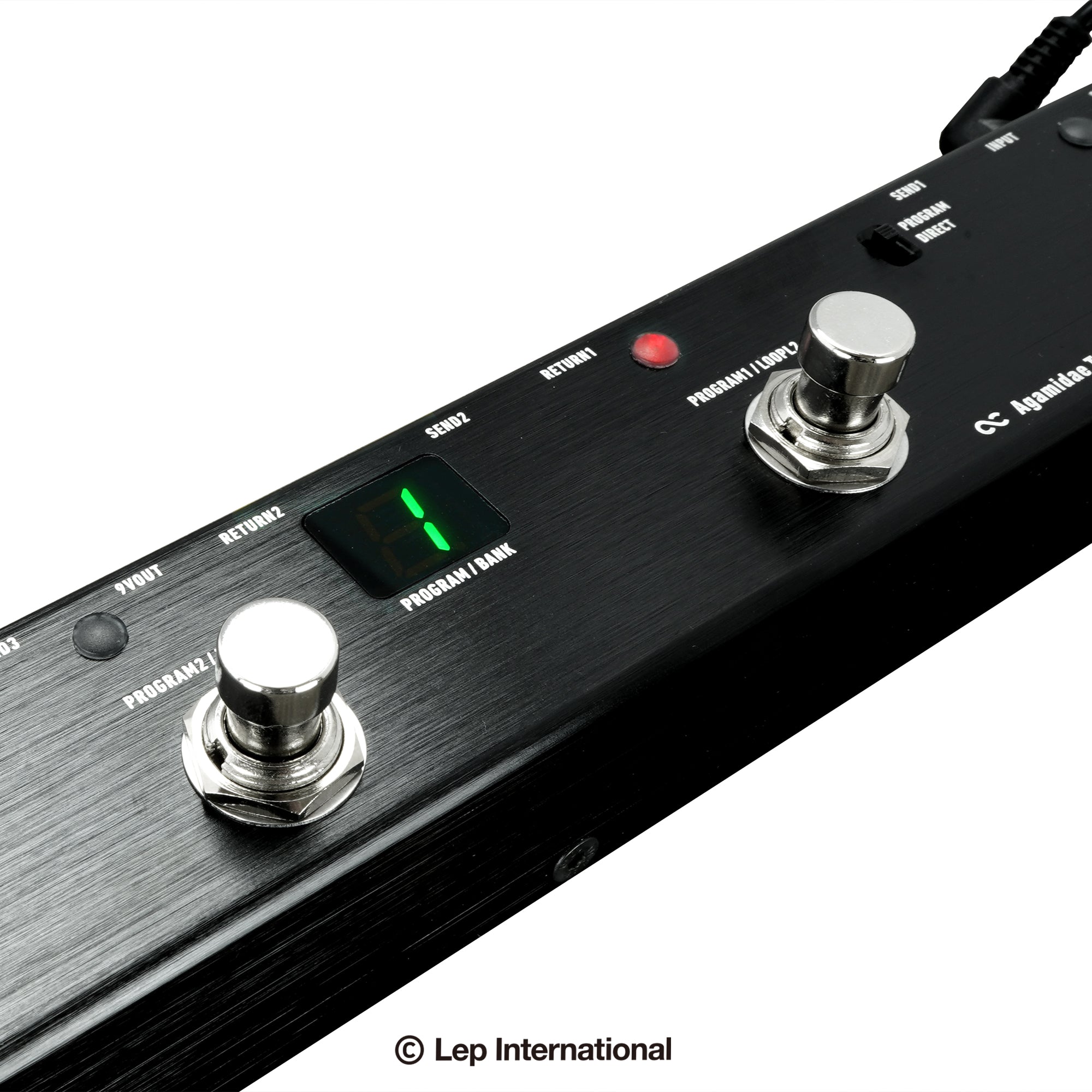 One Control Agamidae Tail 6-Loop Pedal