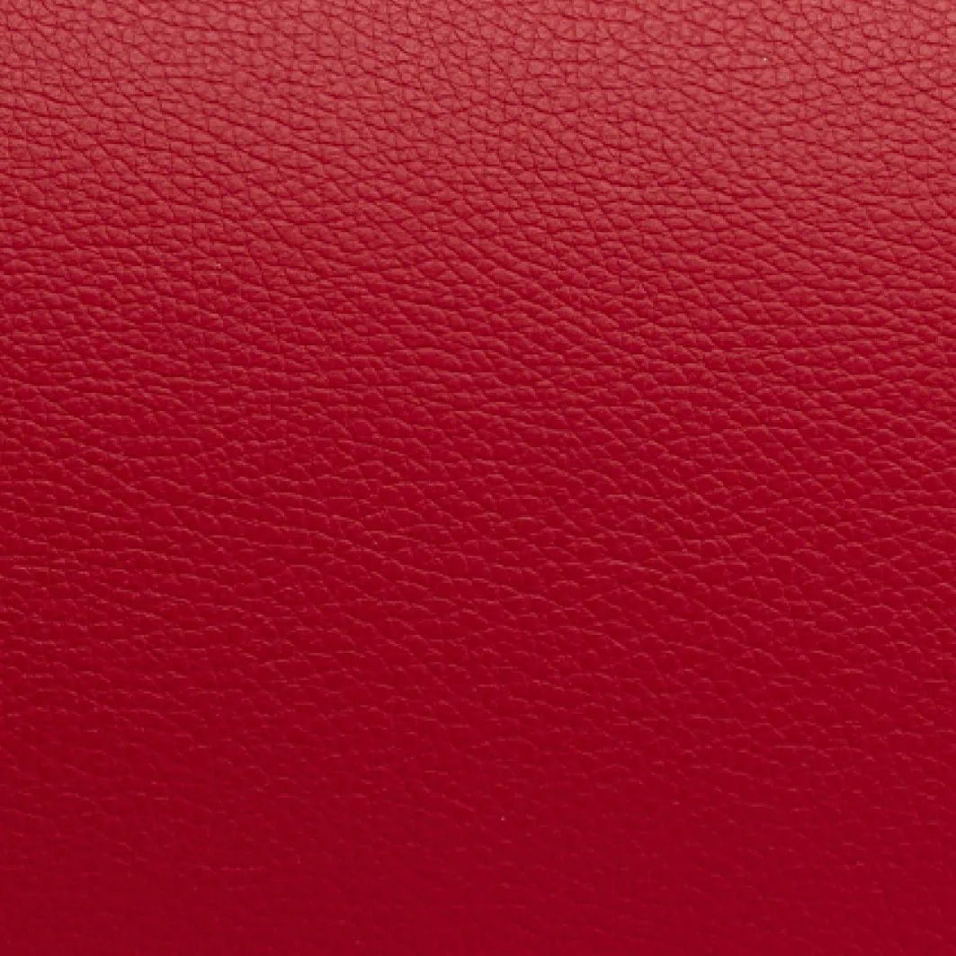 BAM L'ETOILE Hightech Oblong Viola Case with Back Pocket