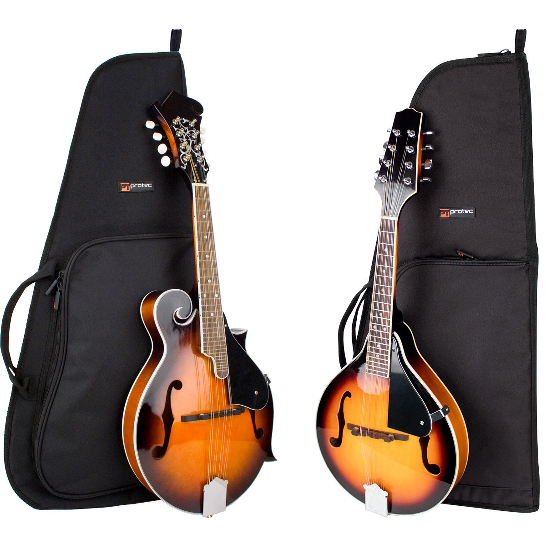 PROTEC Mandolin Gig Bag - Silver Series