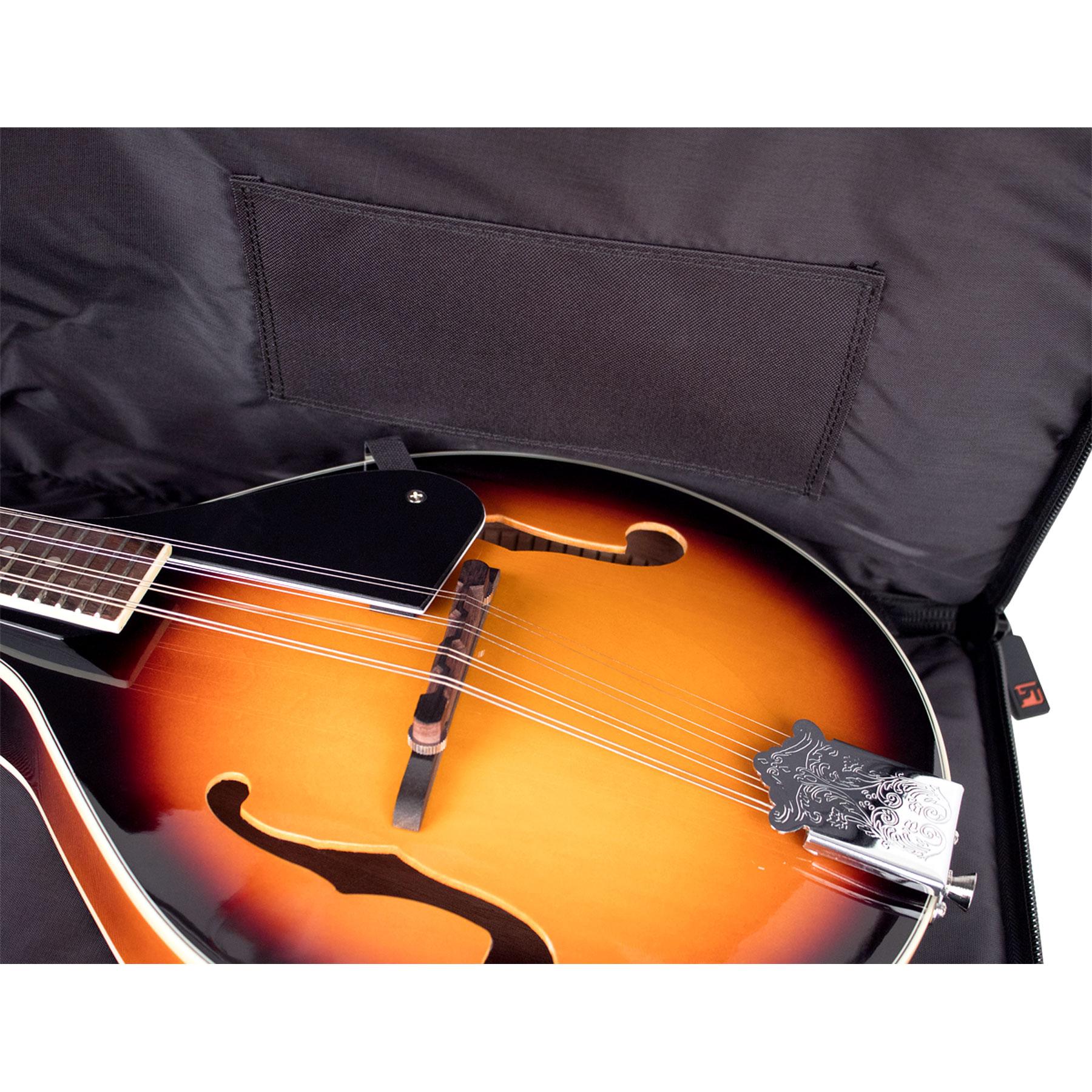 PROTEC Mandolin Gig Bag - Silver Series