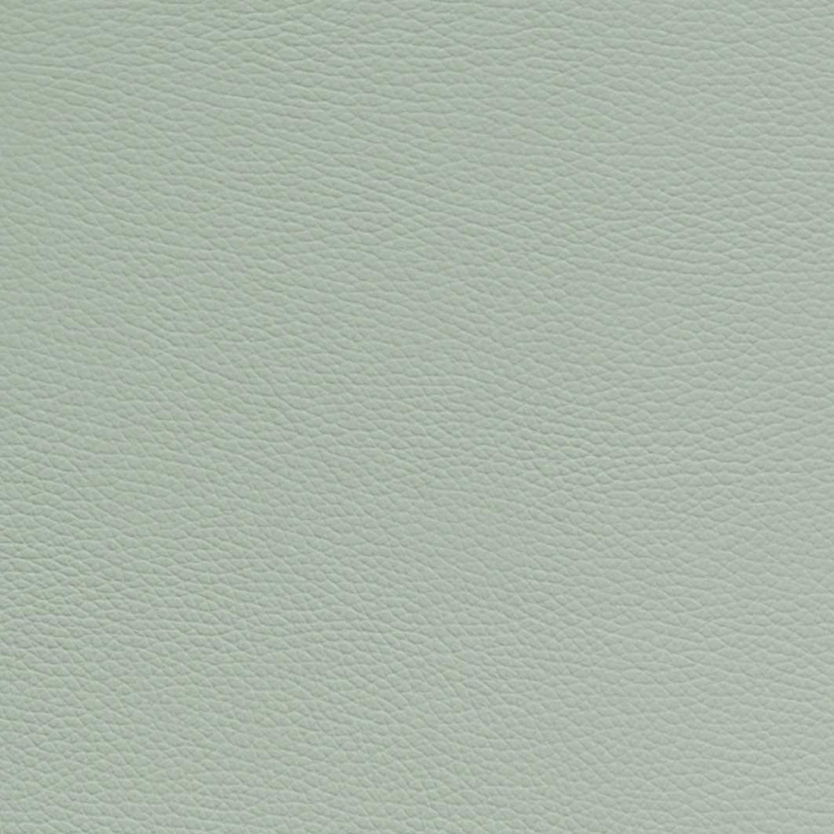 BAM L'ETOILE Hightech Cont. Viola Case