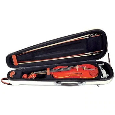 GL Violin Cont. Combi Case