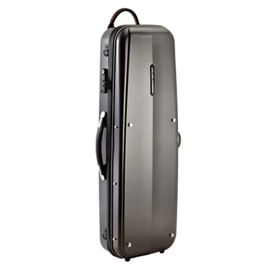 GL Violin Oblong Combi Case