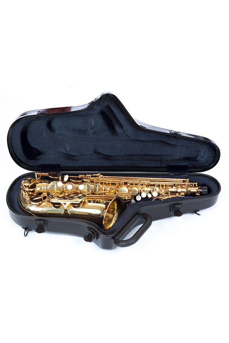 BAM STAGE Alto Sax Case